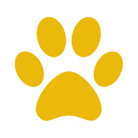 Pumba Logo